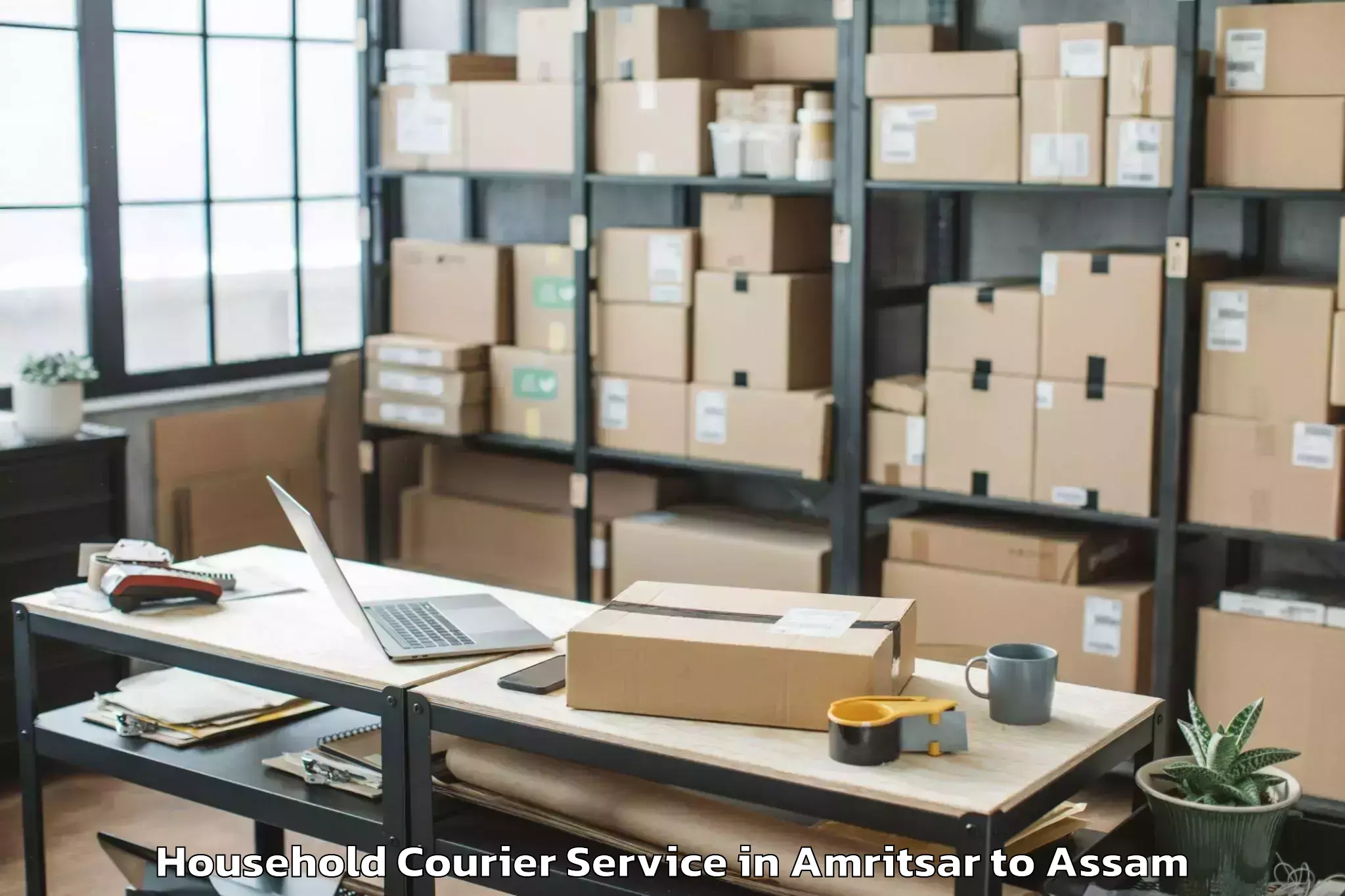 Comprehensive Amritsar to Nazira Household Courier